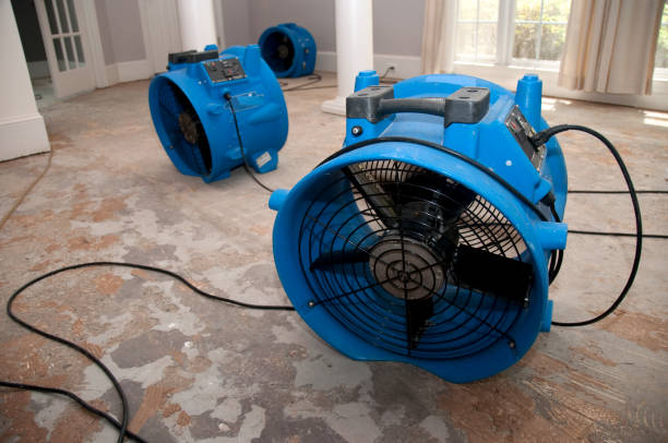 Best Water damage restoration near me  in Coleytown, CT