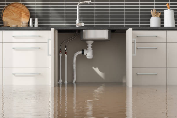 Best Flood damage cleanup  in Coleytown, CT