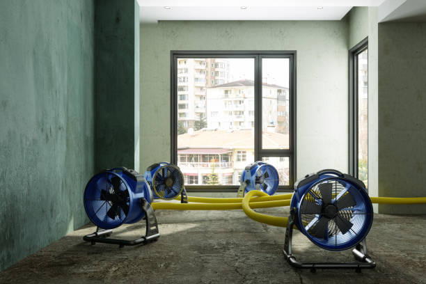 Reliable CT Water damage restoration Solutions